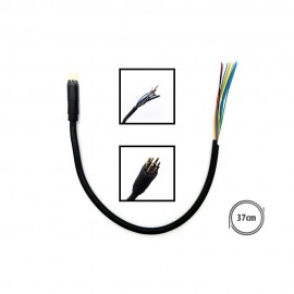Cable Moteur Etwow Male